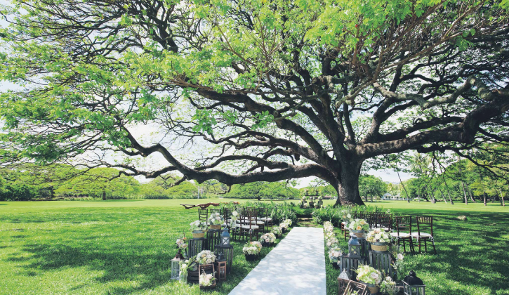 moanaluagarden_1