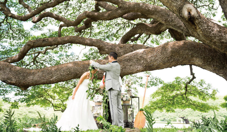 moanaluagarden_2