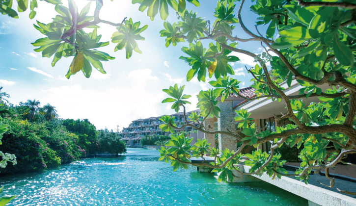allamanda_3