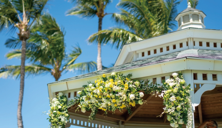 fairmontorchid_1