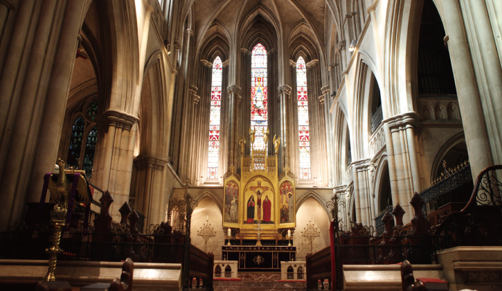 amecathe_1
