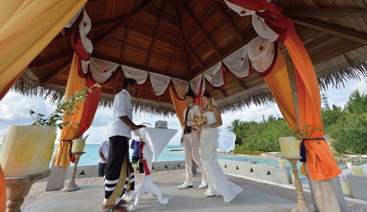 tajexotica_1
