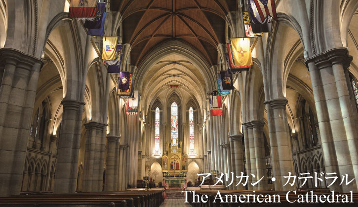 top-american-cathe