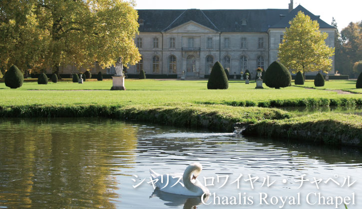 top-chalis-royal