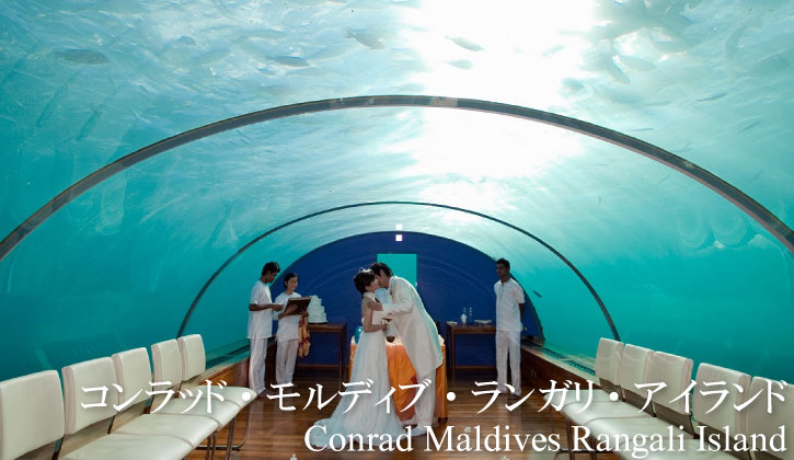 top-conrad-1