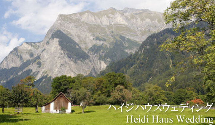 top-heidi