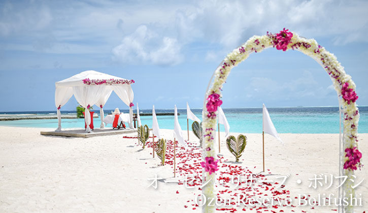 top-ozen-bolifushi