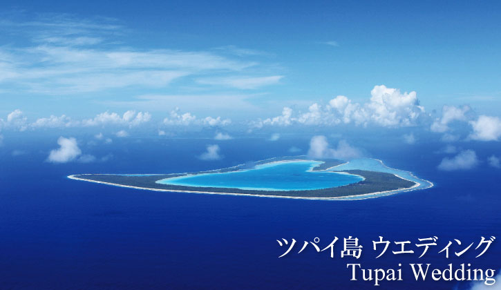 top-tupai