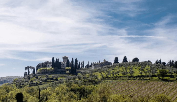 Vicchiomaggio_3