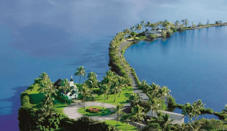 alohagarden_1