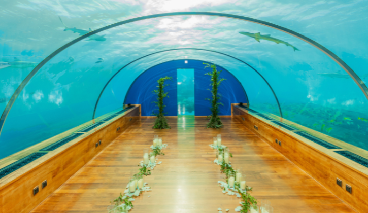 コンラッド・モルディブ・水中チャペル