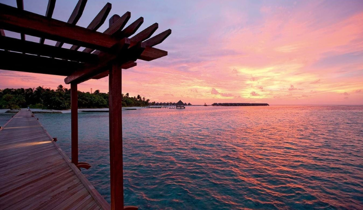 コンスタンス・ムーフシ