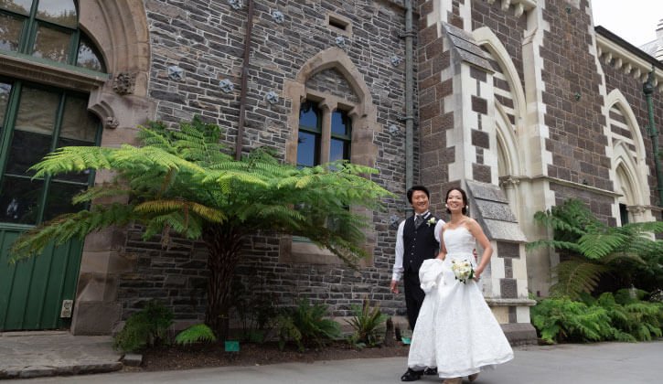 nz_chc_photo_2-min