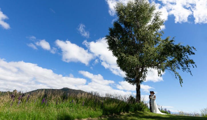 nz_tkp_photo_7-min