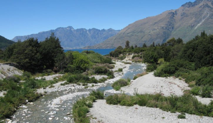 nz_zqn_photo_1-min